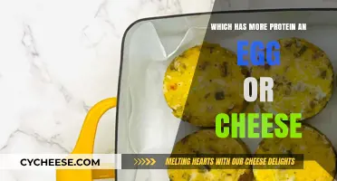 Egg vs. Cheese: Which Protein Source Packs More Punch?
