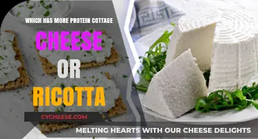 Cottage Cheese vs. Ricotta: Which Packs More Protein?