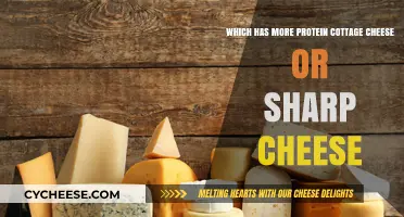 Cottage Cheese vs. Sharp Cheese: Which Packs More Protein?