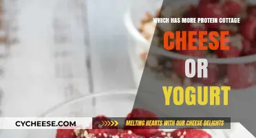 Cottage Cheese vs. Yogurt: Which Packs More Protein Punch?