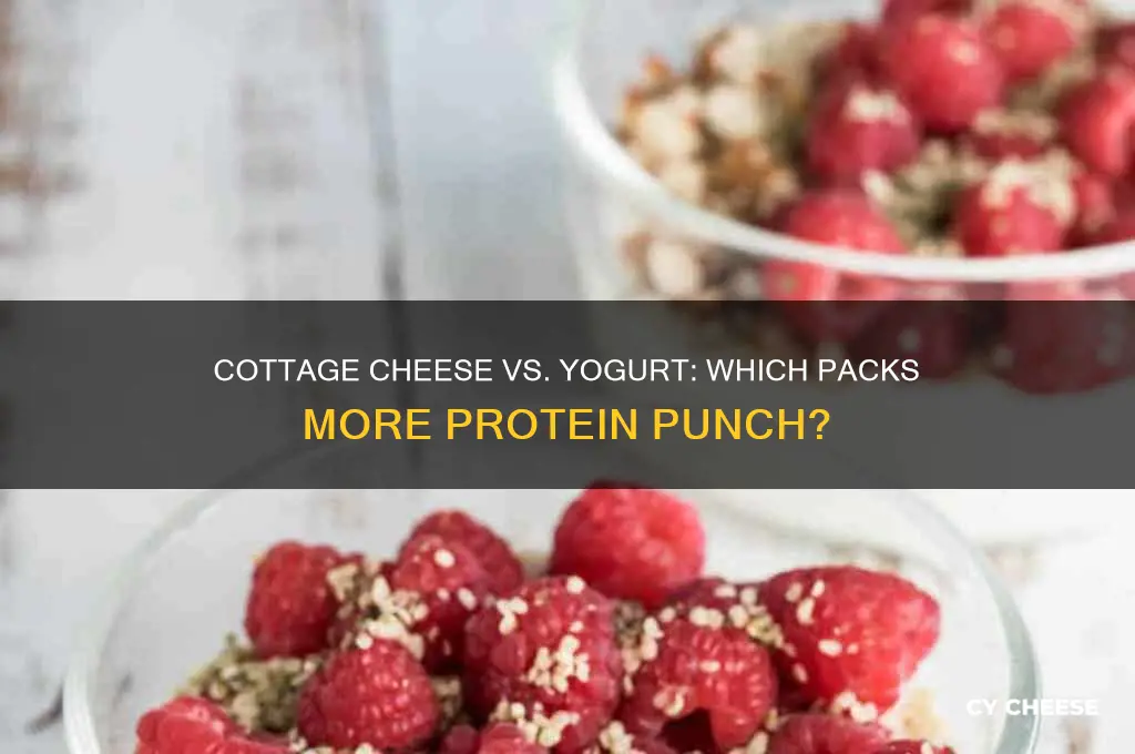 which has more protein cottage cheese or yogurt