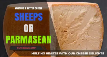 Sheep's Cheese vs. Parmesan: Which Delivers Superior Flavor and Texture?