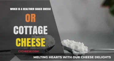 Cheese vs. Cottage Cheese: Which Snack Boosts Your Health More?