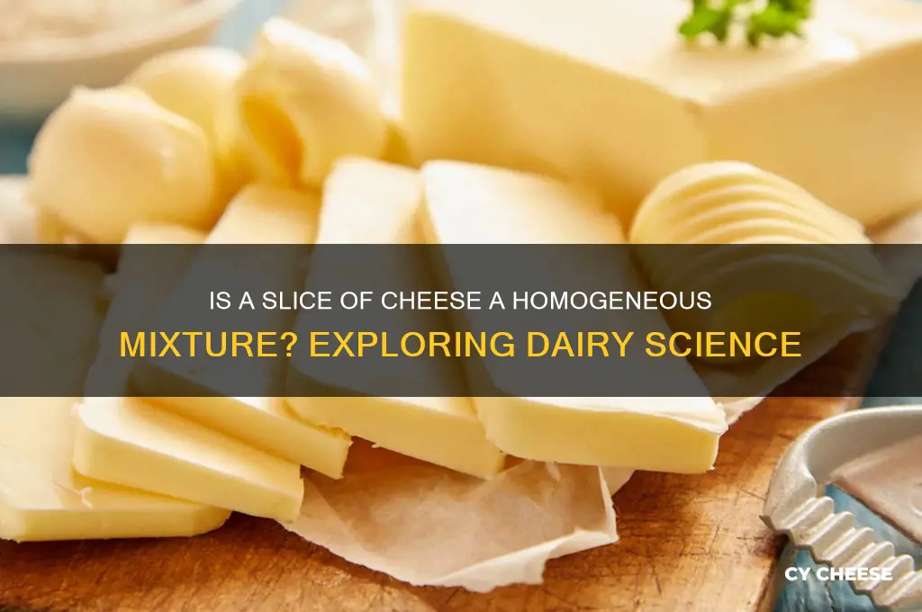 which is a homogeneous mixture a slice of cheese