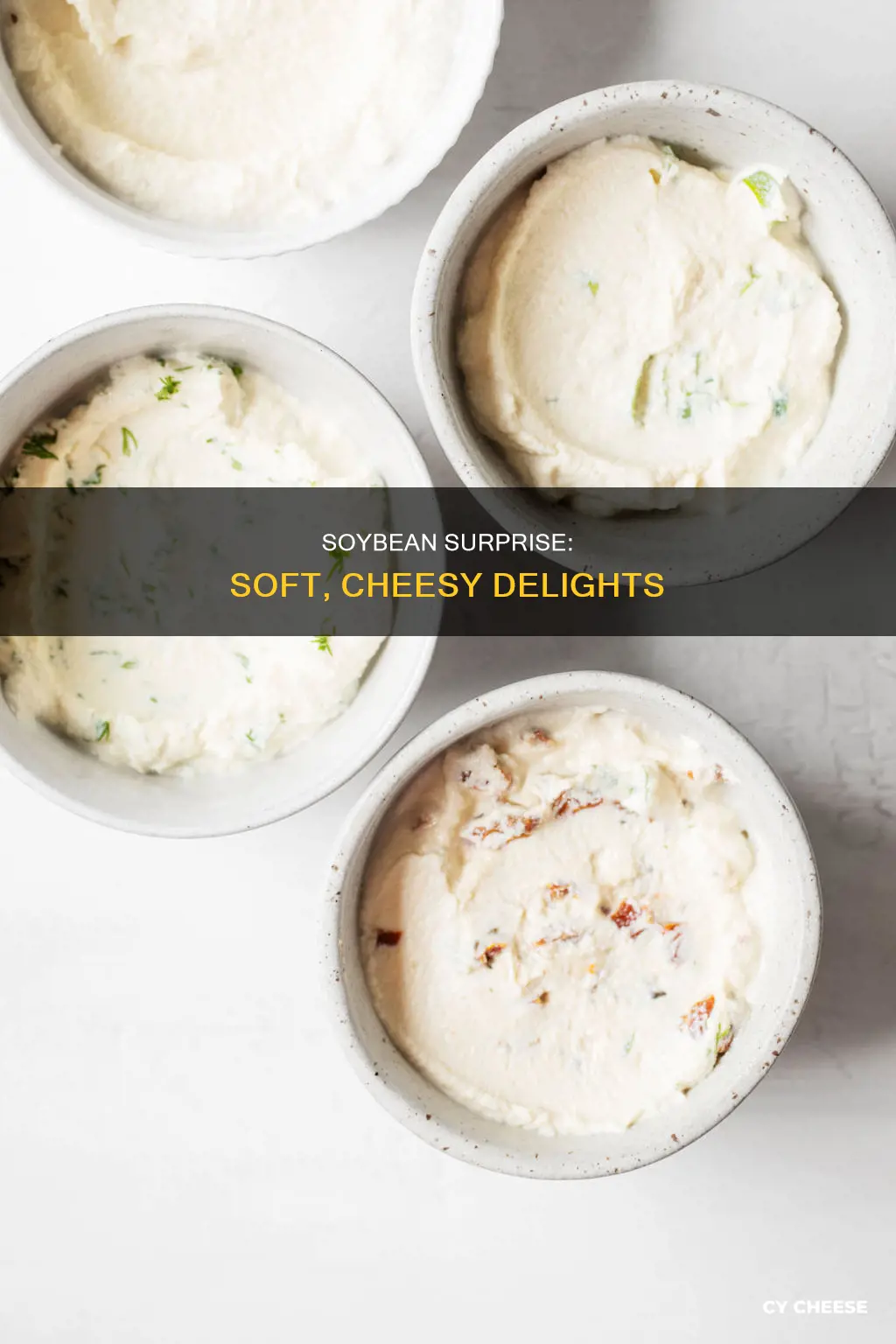 which is a soft cheese like food made from soybeans