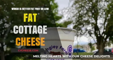 Fat-Free vs. Low-Fat Cottage Cheese: Which is Healthier for You?