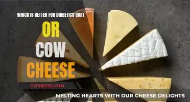 Goat vs. Cow: Which Cheese is Safer for Diabetics?