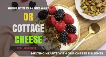 Yogurt vs Cottage Cheese: Best Choice for Diabetic Diets