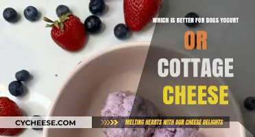 Yogurt vs. Cottage Cheese: Which Treat is Best for Your Dog?
