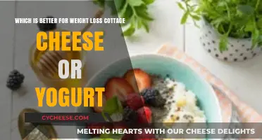 Cottage Cheese vs. Yogurt: Which Boosts Weight Loss Better?