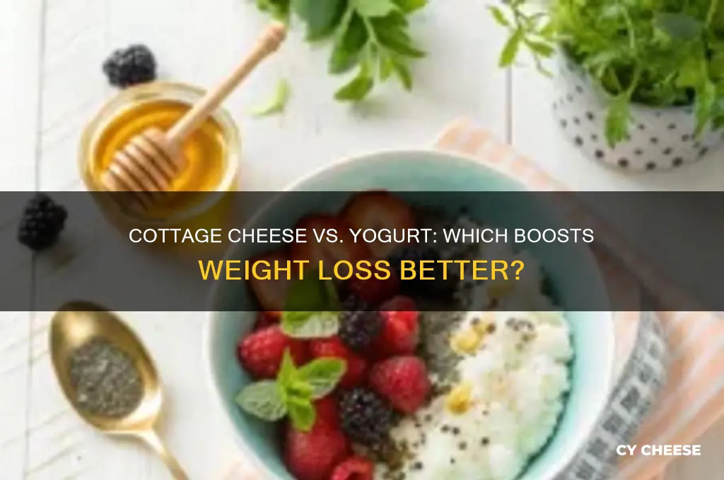 which is better for weight loss cottage cheese or yogurt
