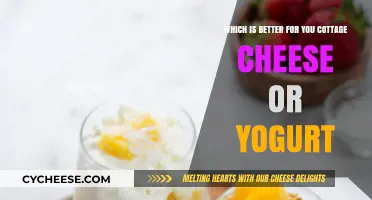 Cottage Cheese vs. Yogurt: Which Dairy Delight Boosts Your Health More?