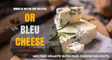 Feta vs Bleu Cheese: Which is Healthier?