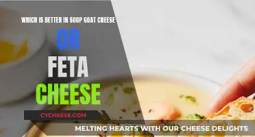 Goat Cheese vs. Feta: Which Reigns Supreme in Soup?