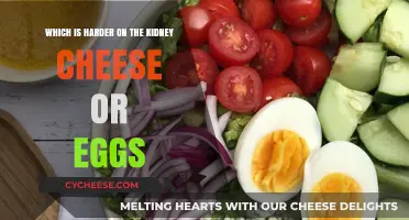 Cheese vs. Eggs: Which Food Impacts Kidney Health More?