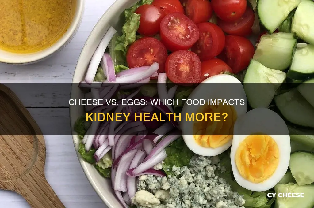 which is harder on the kidney cheese or eggs