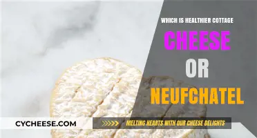 Cottage Cheese vs. Neufchâtel: Which Cheese Reigns Healthier?