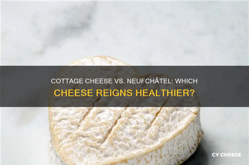 which is healthier cottage cheese or neufchatel