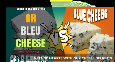 Feta vs Bleu Cheese: Which is Healthier?