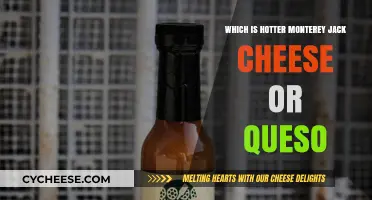 Monterey Jack vs. Queso: Which Melty Cheese Reigns Supreme in Heat?