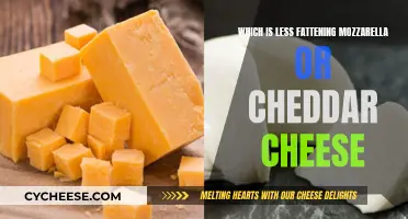 Mozzarella vs. Cheddar: Unveiling the Fattening Truth