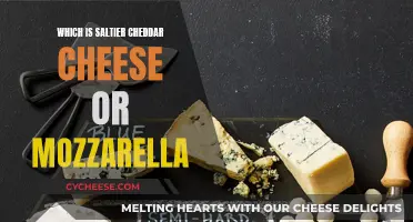 Unraveling the Salty Mystery: Cheddar vs. Mozzarella