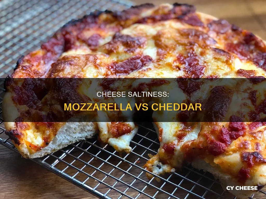 which is saltier cheddar cheese or mozzarella