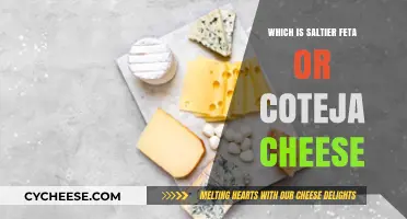 Feta vs. Cotija: Which Cheese is Saltiest?