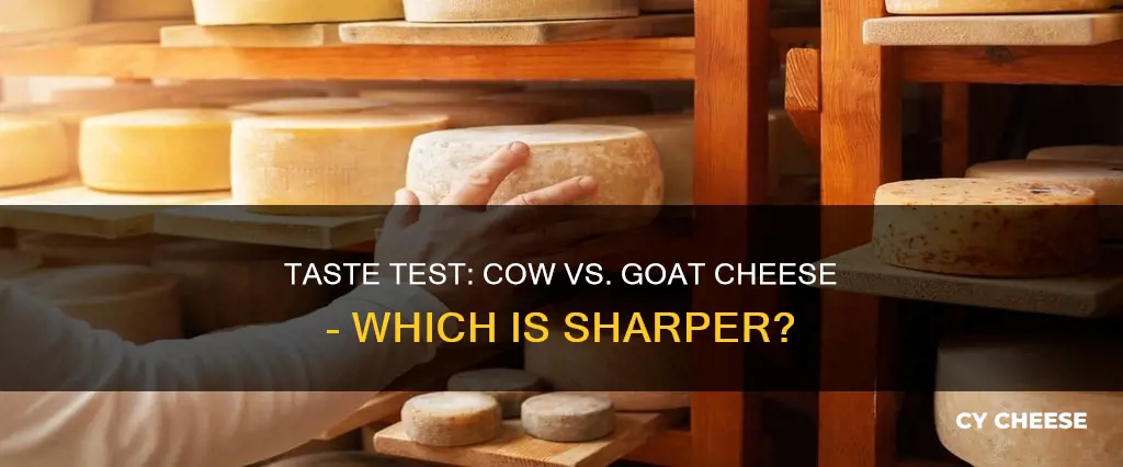 which is sharper cow or goat cheese