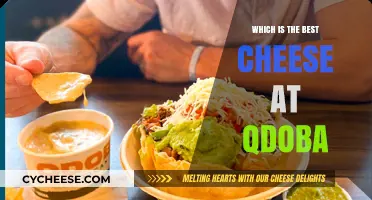 Discover Qdoba's Ultimate Cheesy Experience