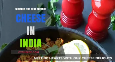 Discover India's Top Cottage Cheese: A Creamy, Healthy Choice Guide