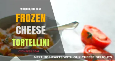 Cheese Tortellini: The Ultimate Frozen Delight