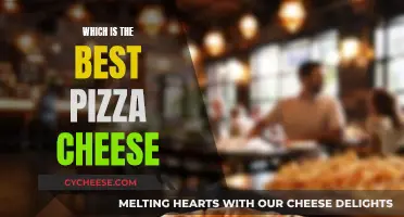 The Ultimate Guide to Choosing the Best Pizza Cheese: A Cheesy Adventure