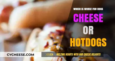 Cheese vs. Hotdogs: Uncovering the Worse Culprit for Your Dog's Health