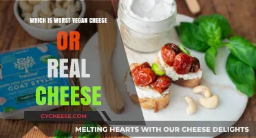 Vegan Cheese vs. Real Cheese: Which is Worse for Your Health?