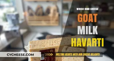 Exploring the Creamy World of Goat Milk Havarti: A Cheesy Adventure