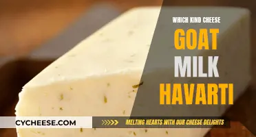 Goat Milk Havarti: A Cheesy Delight