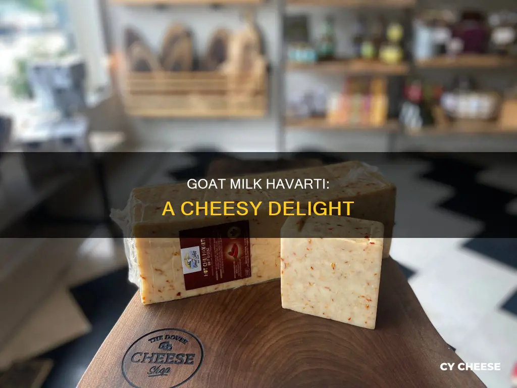 which kind cheese goat milk havarti
