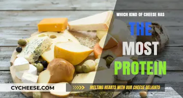 Unveiling the Protein-Packed Cheese: A Nutritional Comparison