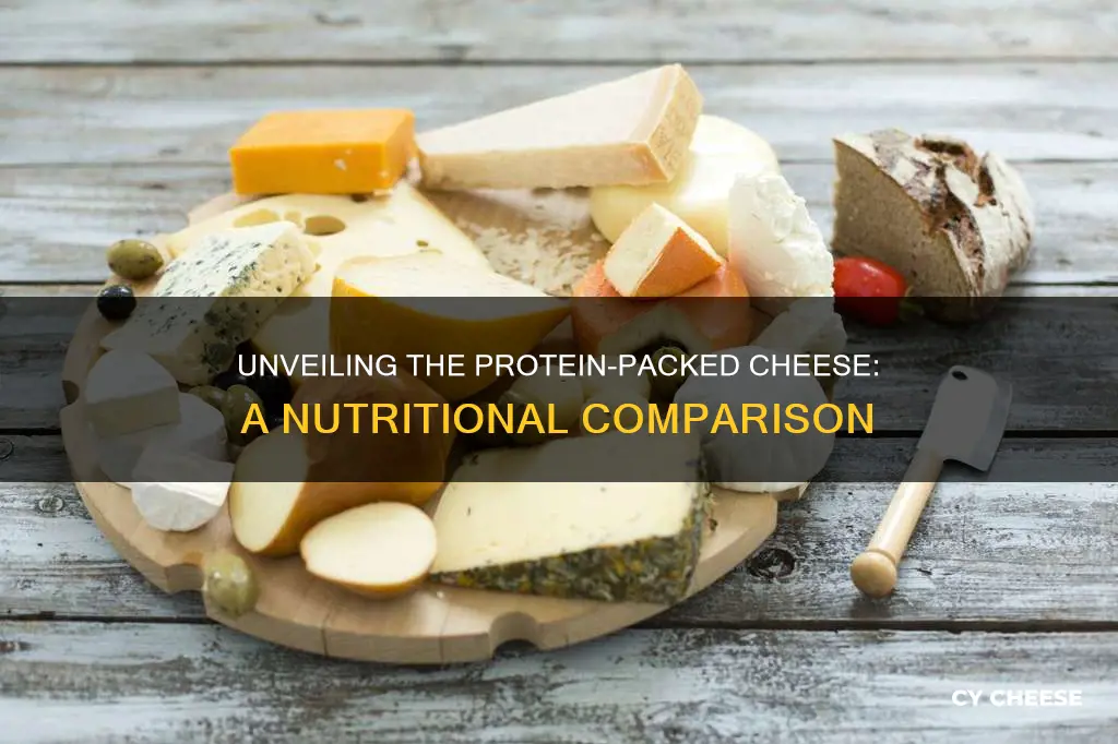 which kind of cheese has the most protein