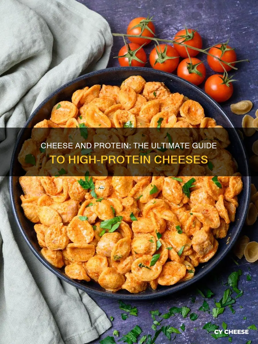 which kind of cheese has the most protein