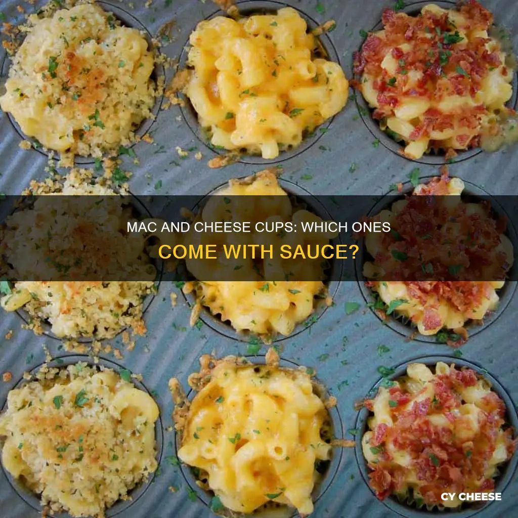 which macaroni and cheese cups have sauce packets