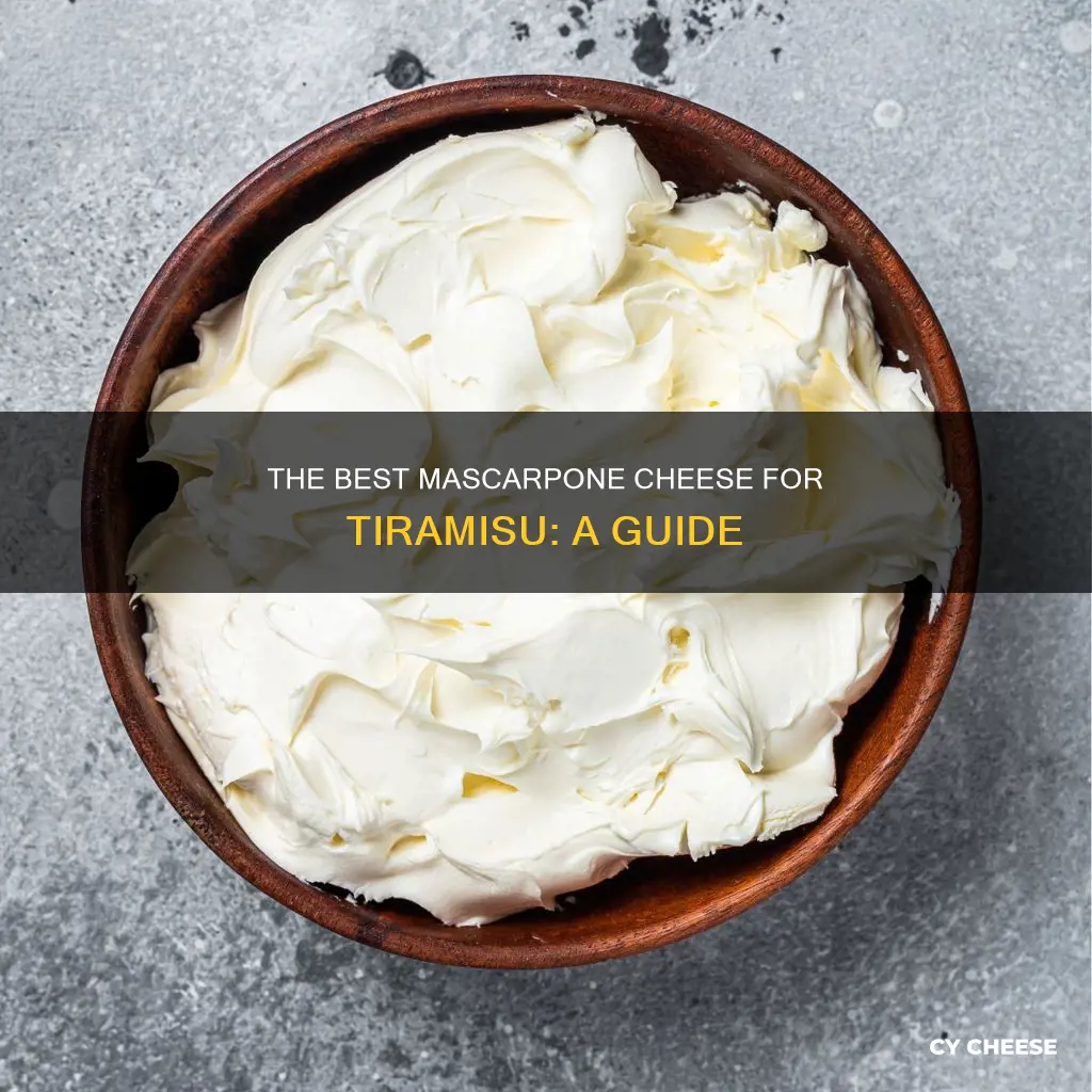 which mascarpone cheese is best for tiramisu