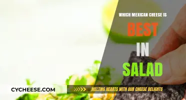 Mexican Salad Cheeses: The Best Options