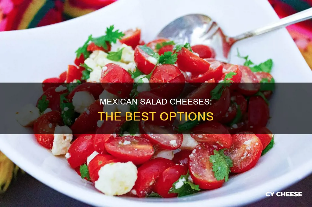 which mexican cheese is best in salad