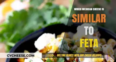 Discovering the Mexican Feta: A Cheese Adventure