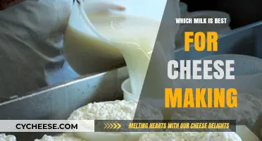 Best Milk for Cheesemaking: A Dairy Deliberation