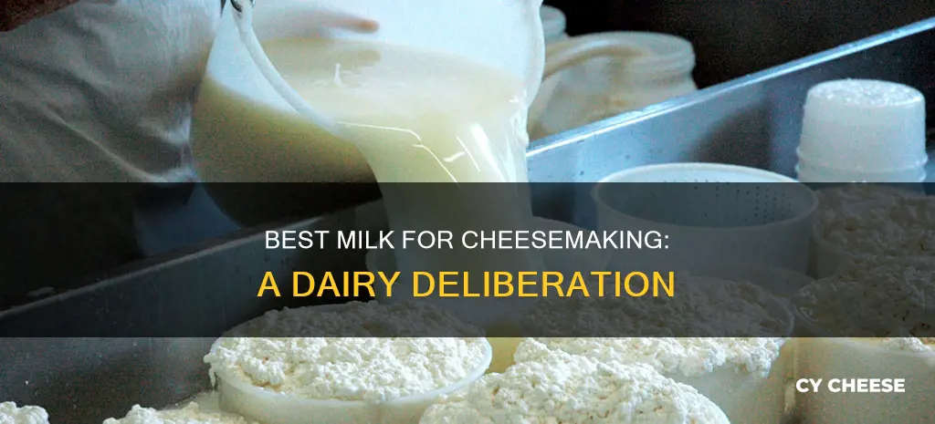 which milk is best for cheese making