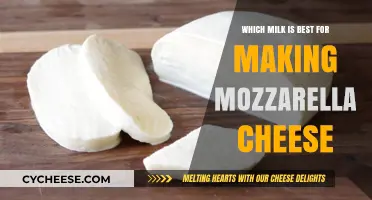 Mozzarella Magic: Which Milk Makes the Best Melt?