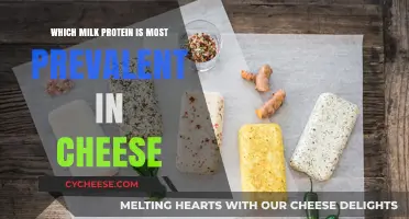 Discovering the Dominant Milk Protein in Cheese: A Comprehensive Guide